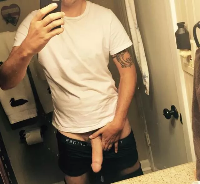 38 army veteran bull looking  posted by OddResponsibility340