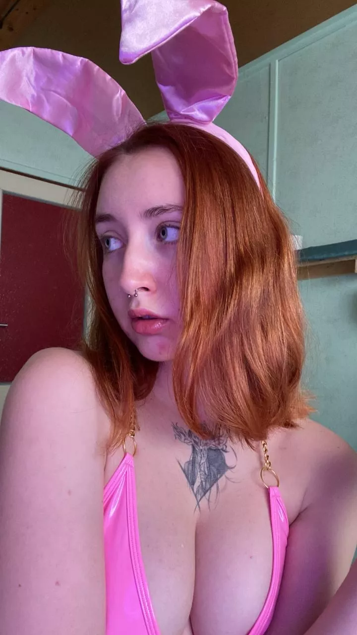 Can this bunny hop on your lap :* posted by xxdetourxx