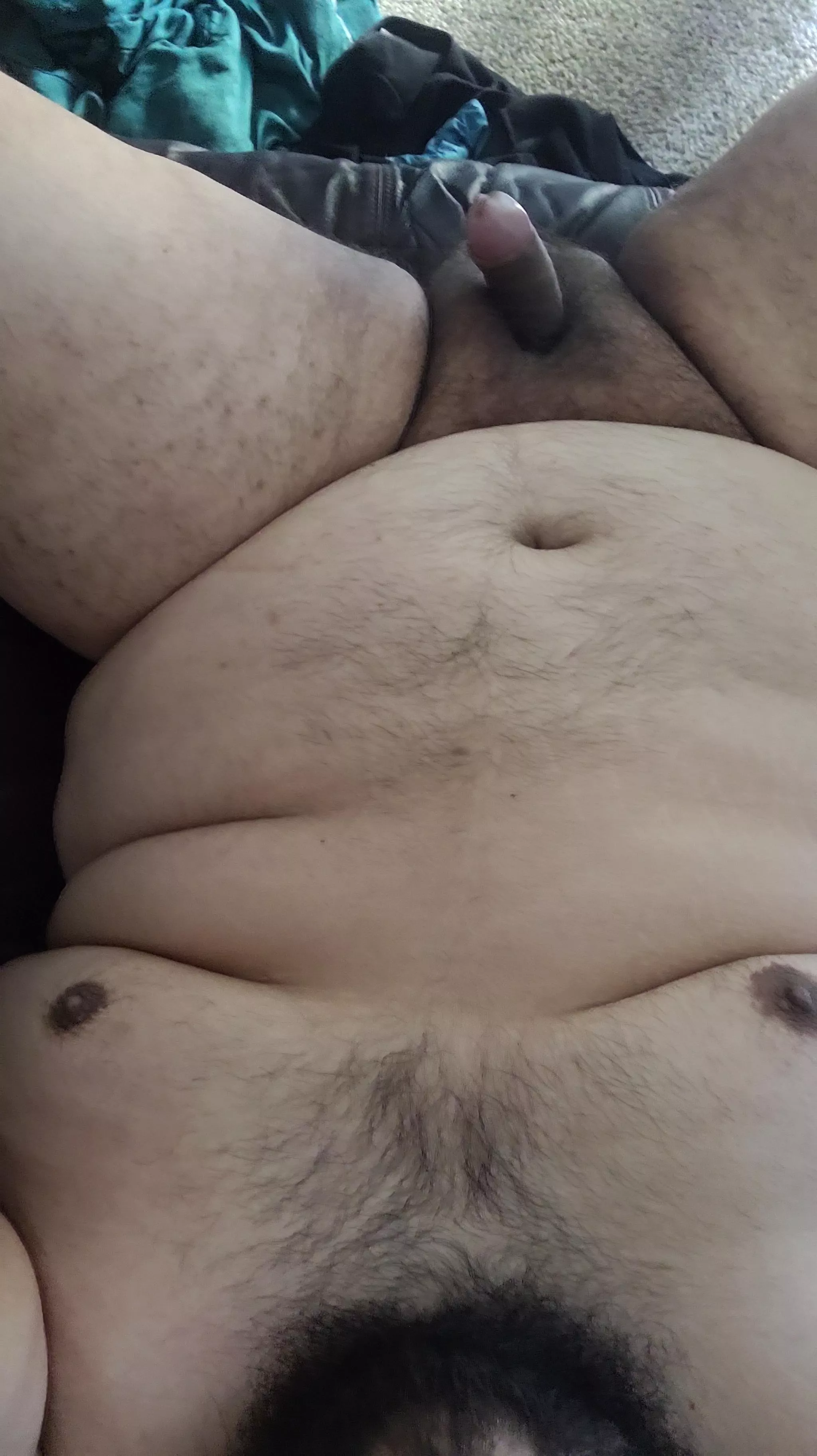 Come say hi! posted by Choliolite