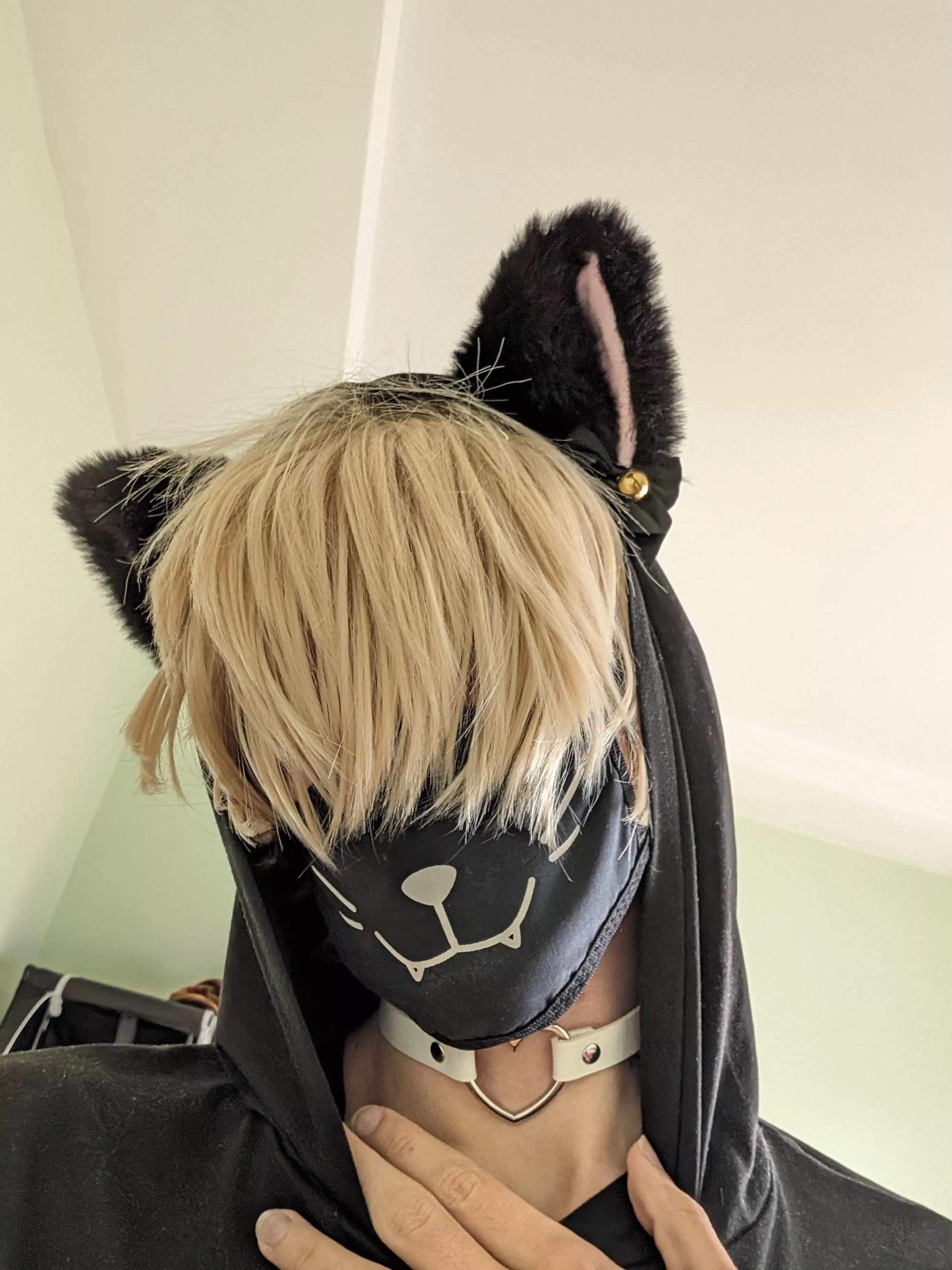 easter catboys are a real thing T^T posted by xFemboypuppyy