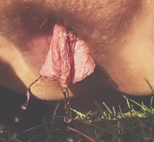 Giant meat flaps pissing by 666LuxExterior666