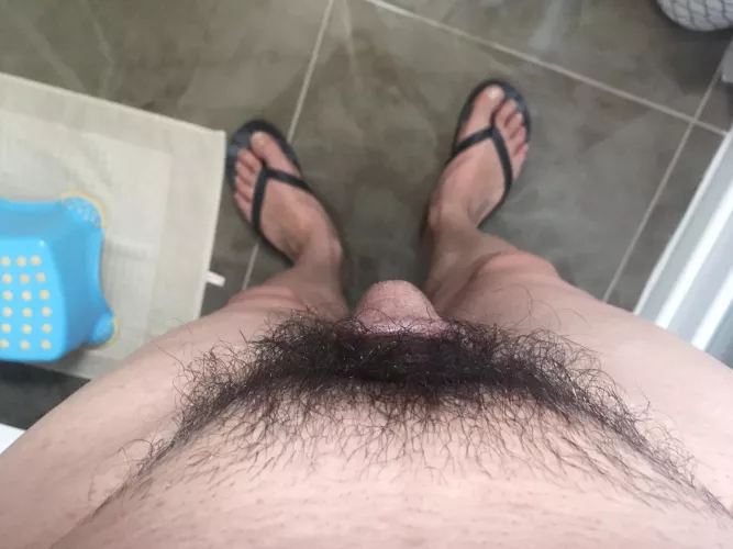 Hairy sof cock by whathehell79