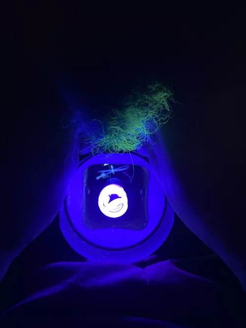 How to make a CAMELGLOW! Xoxo by RiverodiaBigButt