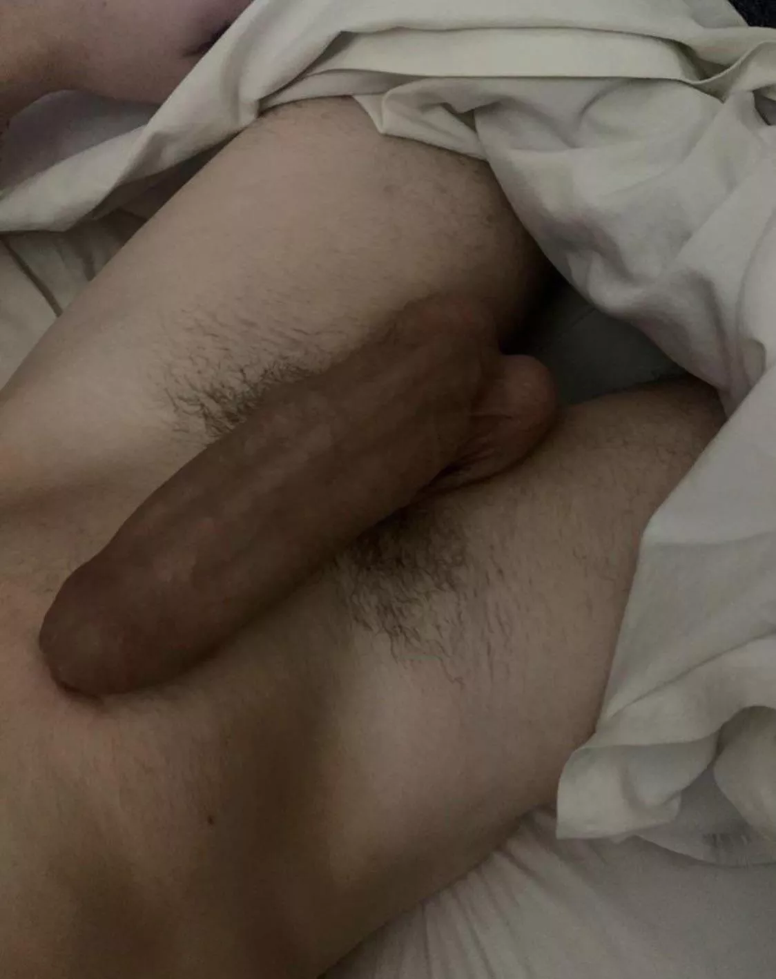 Just laying in bed, who wanna gimme a hand or more? posted by LiberoAnto