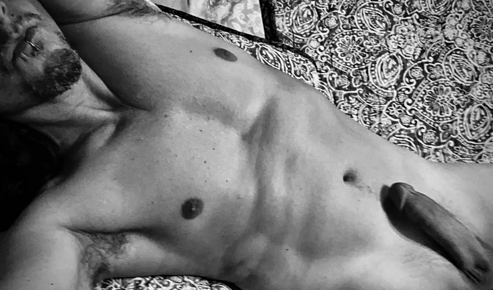 Laid out like a meal (50) posted by AllenoftheNella