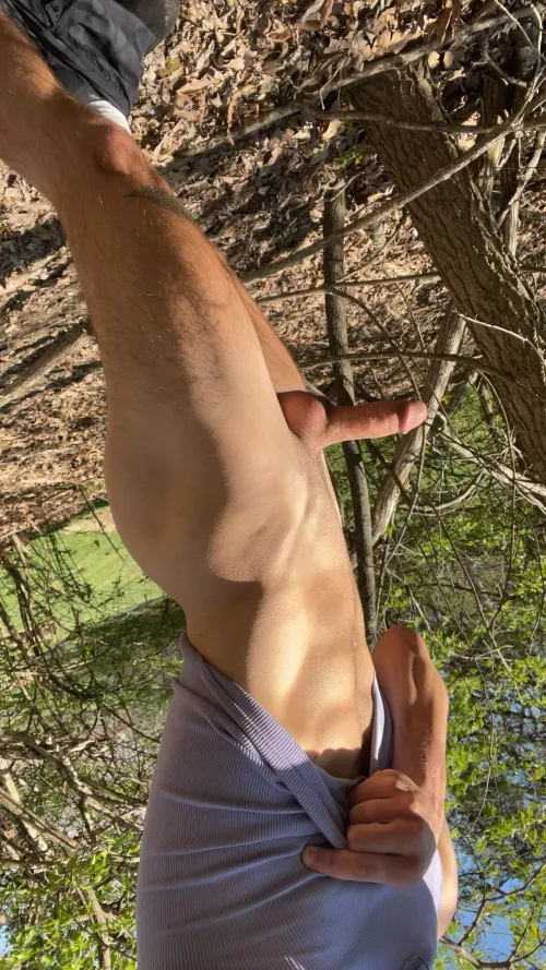 little stroll in the woods by kmillerrsb