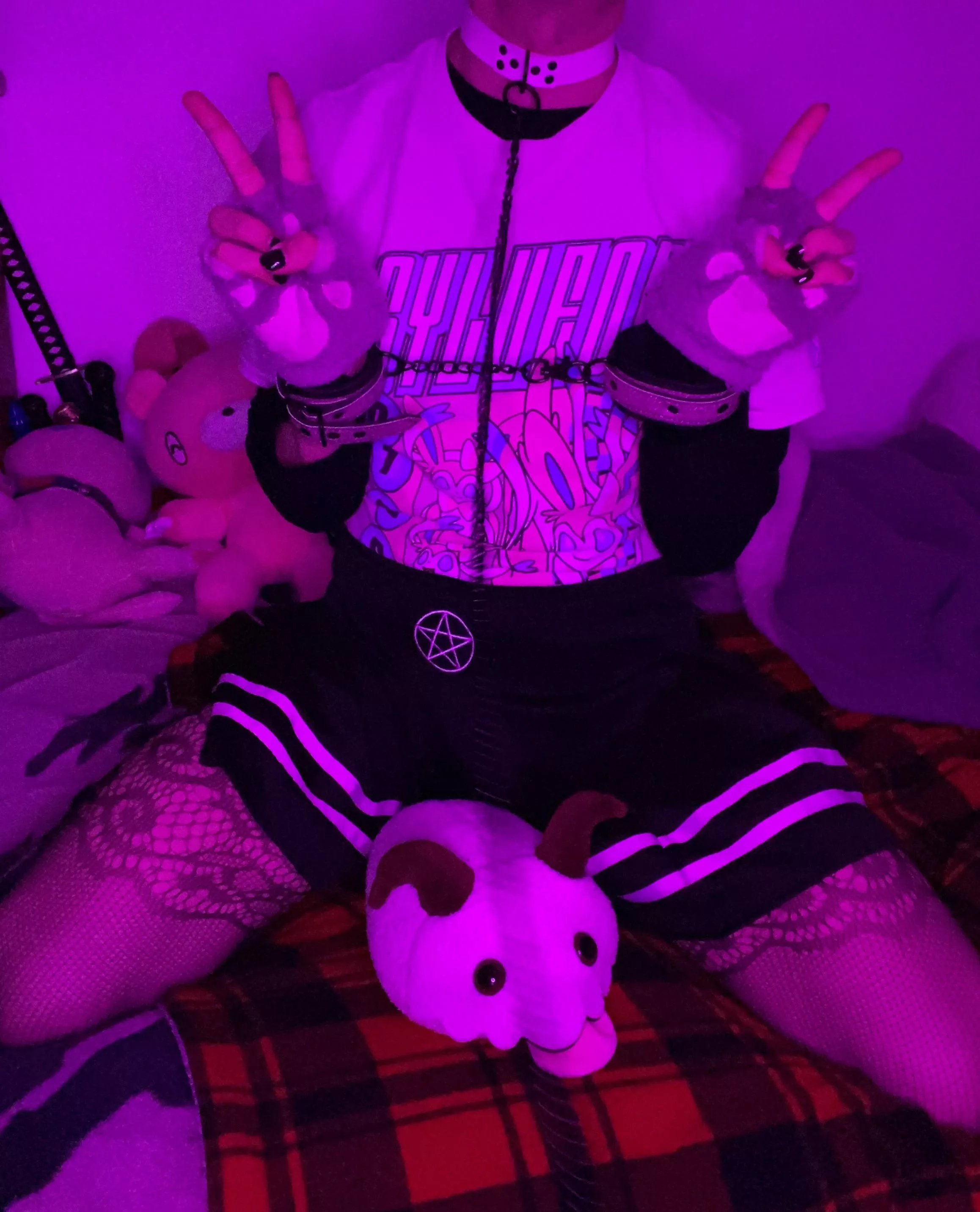 Locked up for what crime? I do no wrong, im just a Cat Meow 🐈 posted by Scoutzi