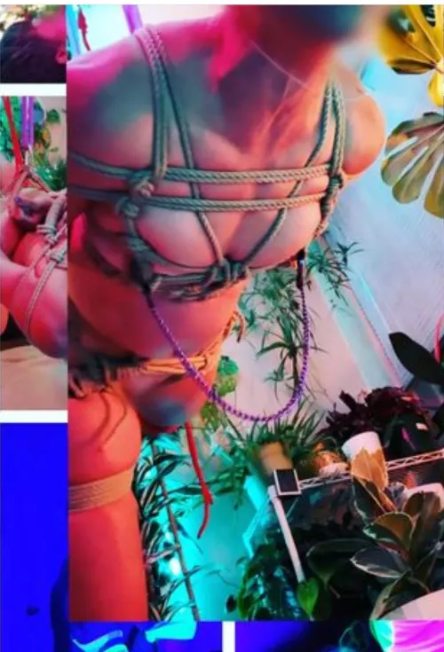 Love flying and love how colorful this little compilation is 🥰 by Sexy_Mizz_Sunshine