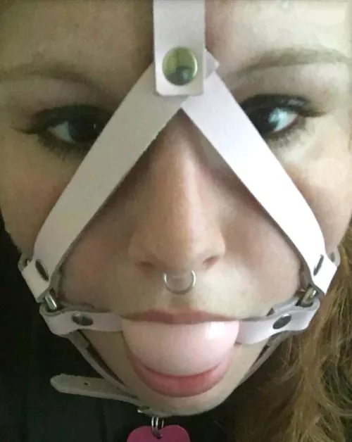 [OC] Harness Ballgag by Pir8Rbrts2