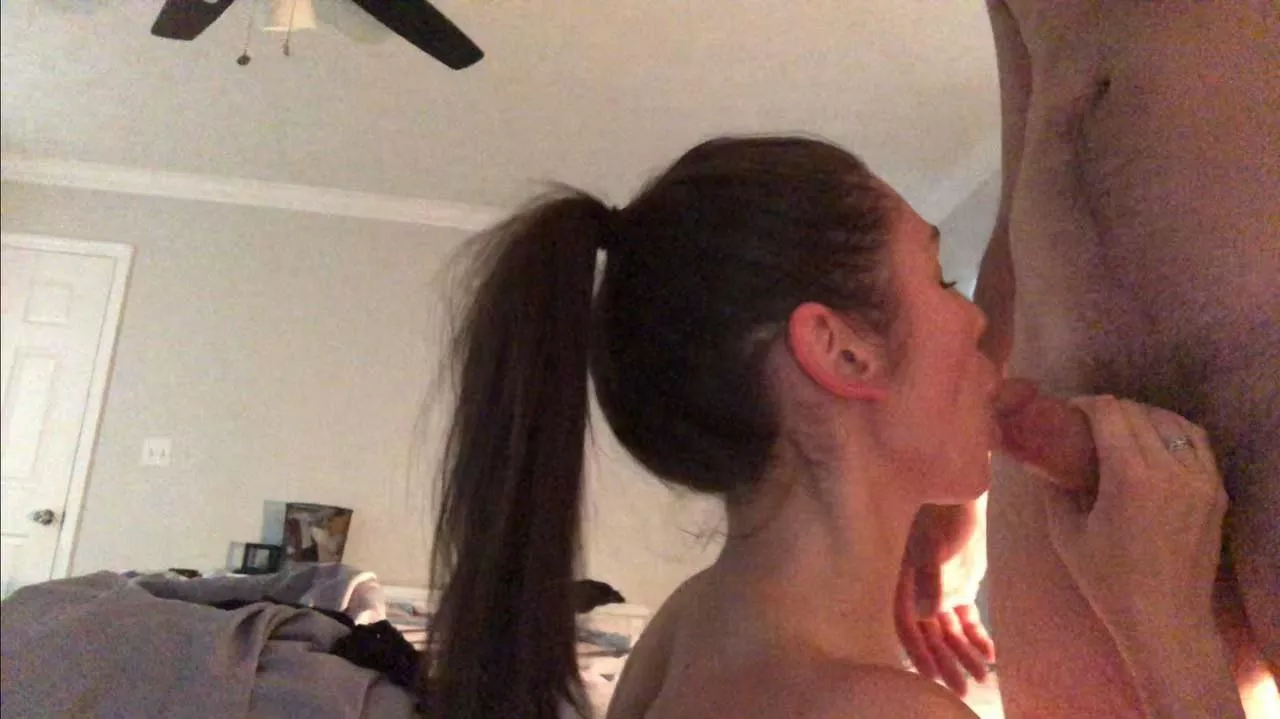 Ponytail blowjob  posted by Markdan259