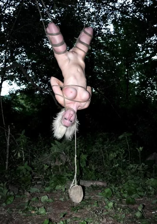 She is rocking the suspension bondage posted by jgoja