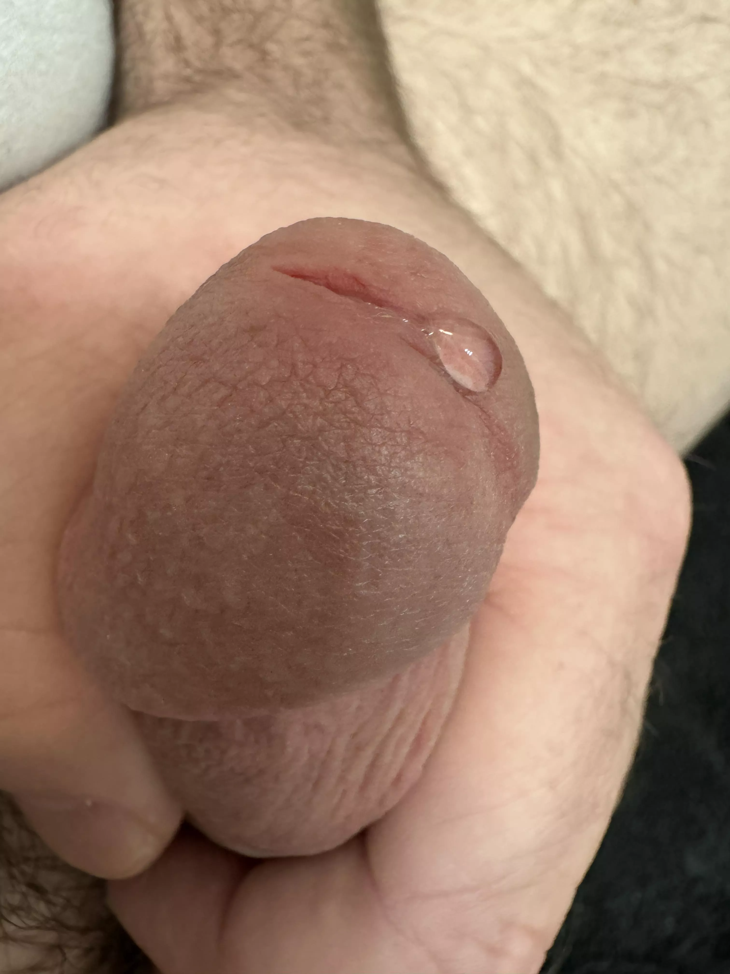 Starting to drip. posted by hfastxxvv