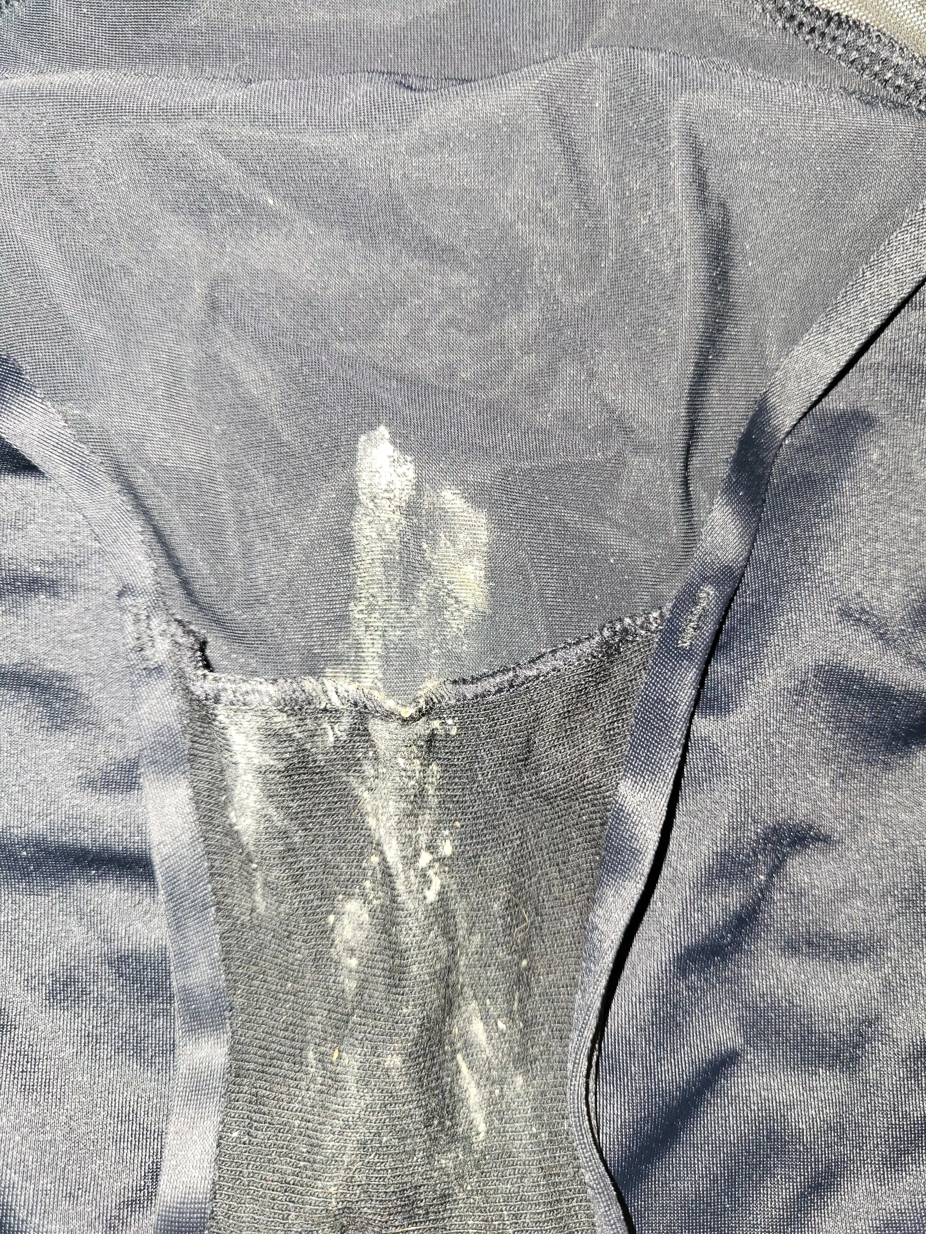 Wanna sniff? posted by Impressive_Bird_9351