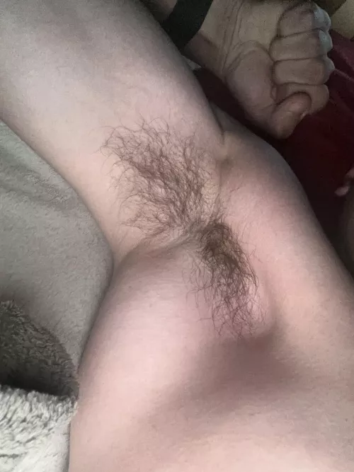 What do you think? by Husk-Online