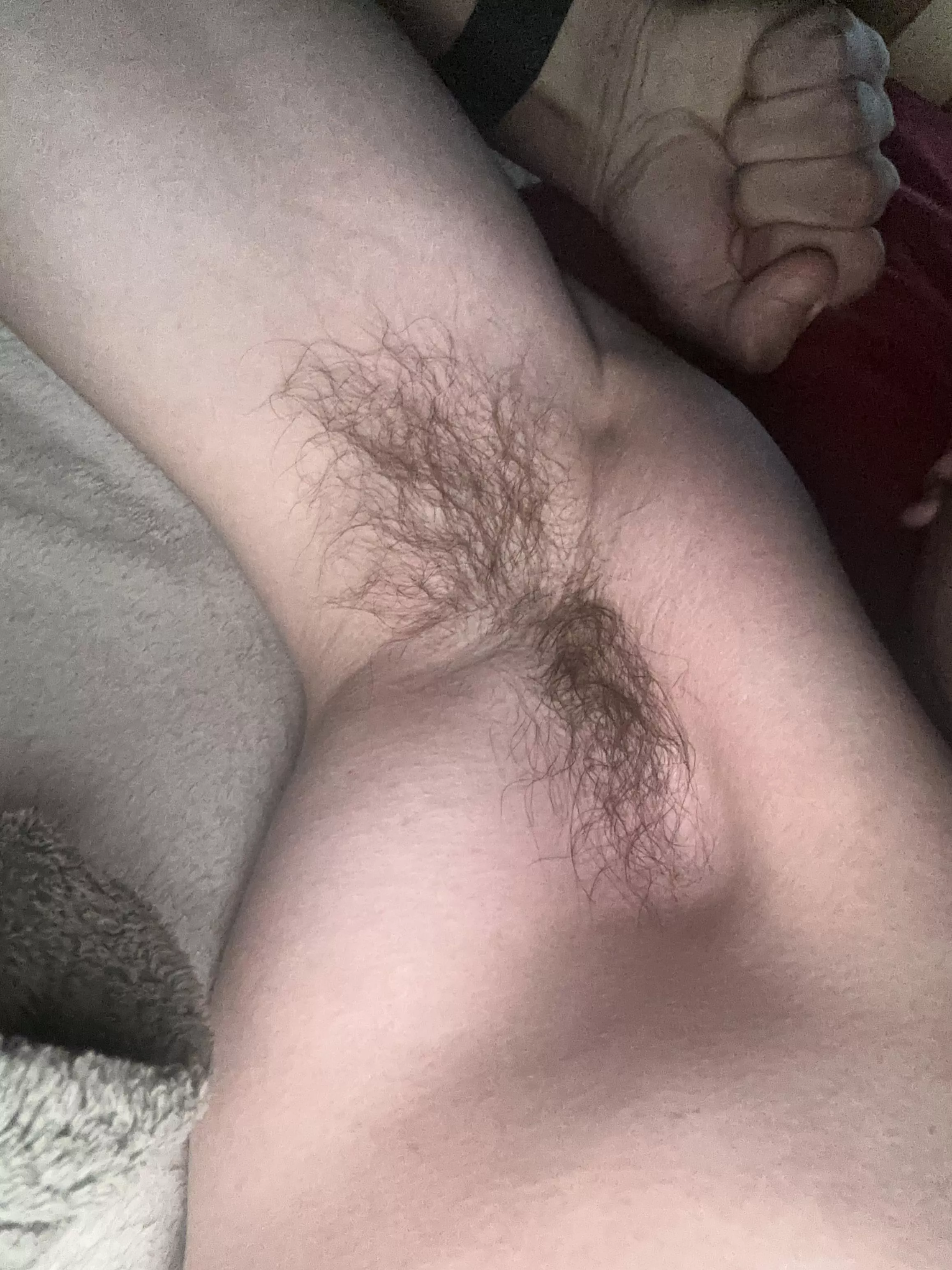 What do you think? posted by Husk-Online