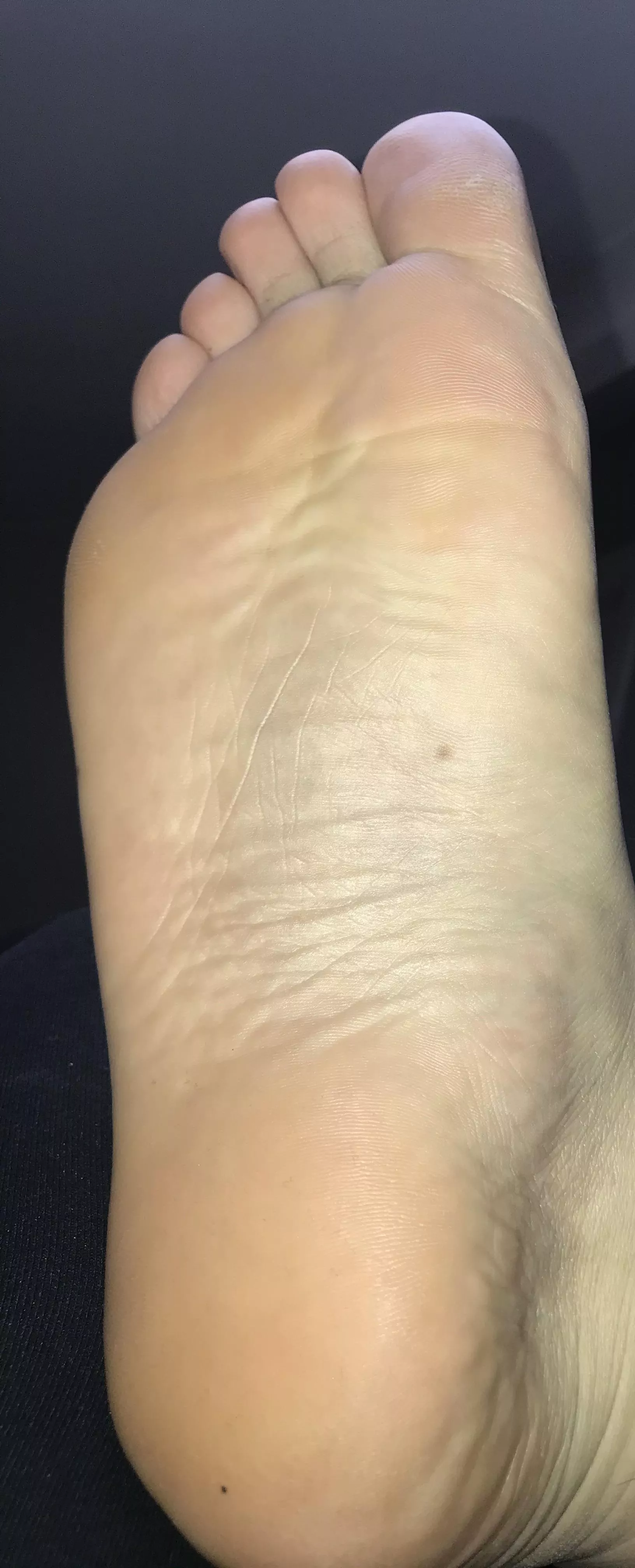 Best friend? posted by BIZM2002