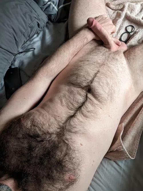 Control the toy inside me by Streethawk00