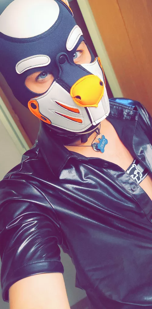 Feeling myself today 🐕 by Kitt3nRag3