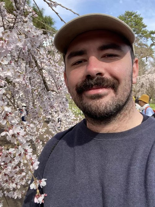 Hello from Kyoto by Ok_Background6920