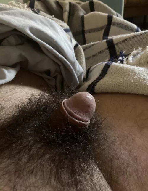 Hello  by Maximum-Cap-277