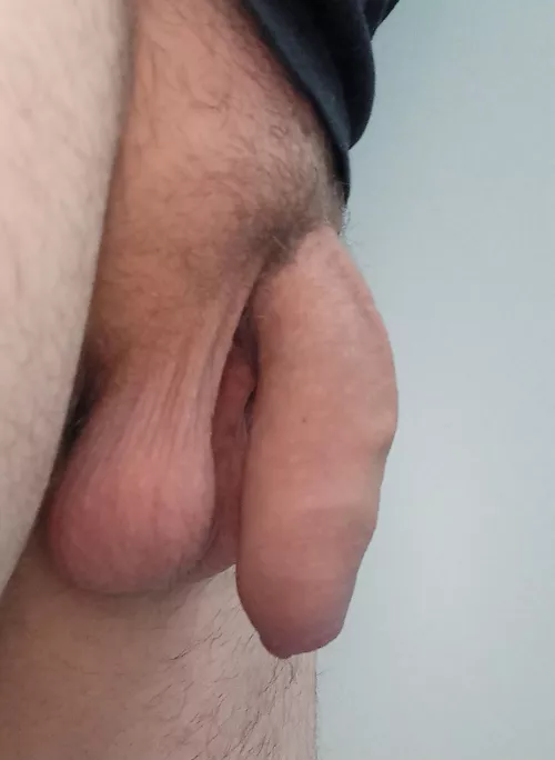 How do you like my softie?  by Michael8613