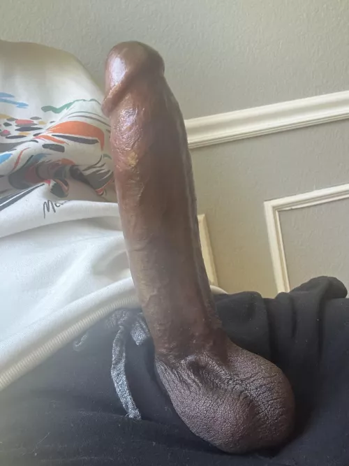 I bet youre in awe by LtRiot