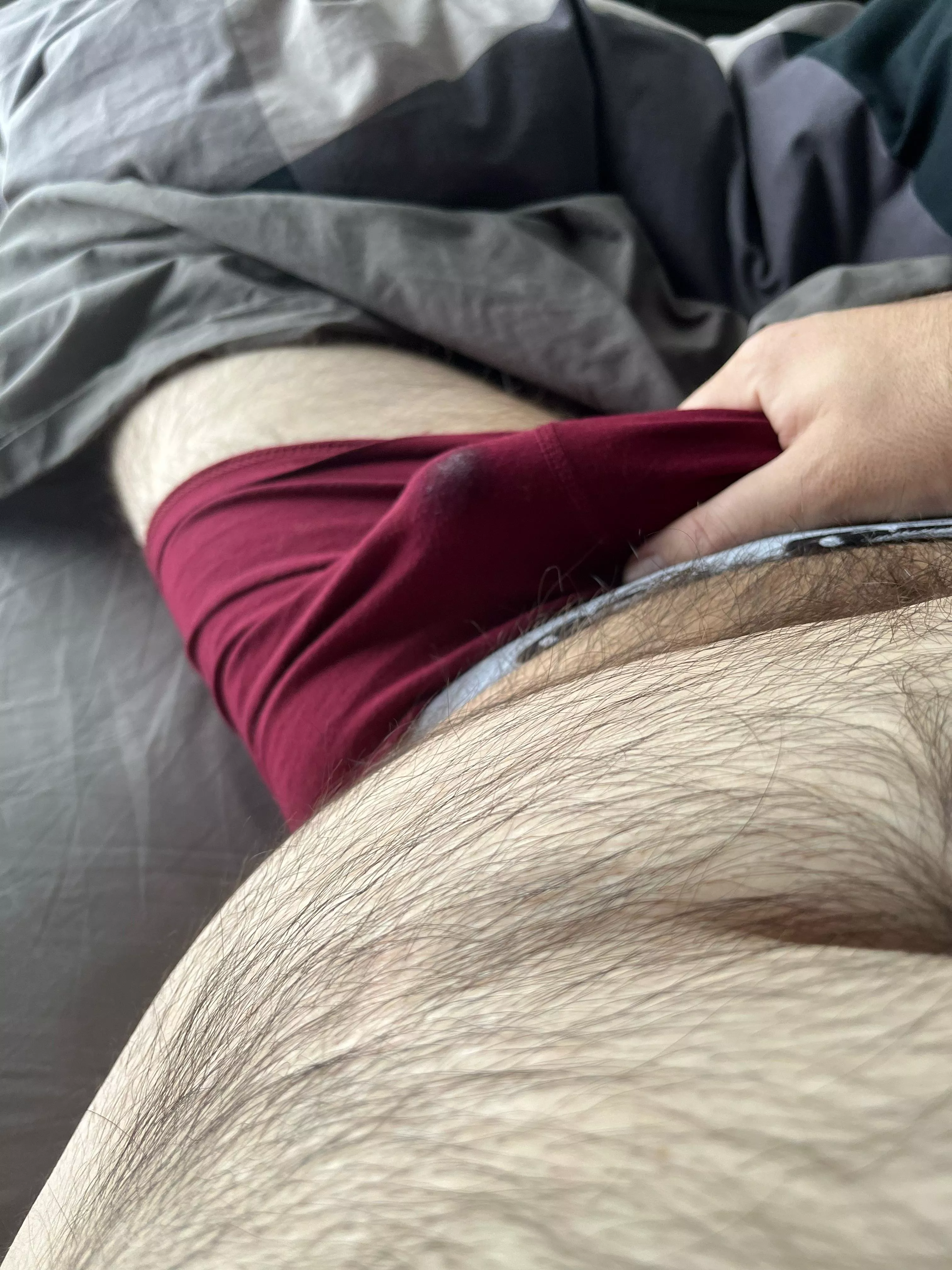 I got excited a bit posted by zazou_the_bear