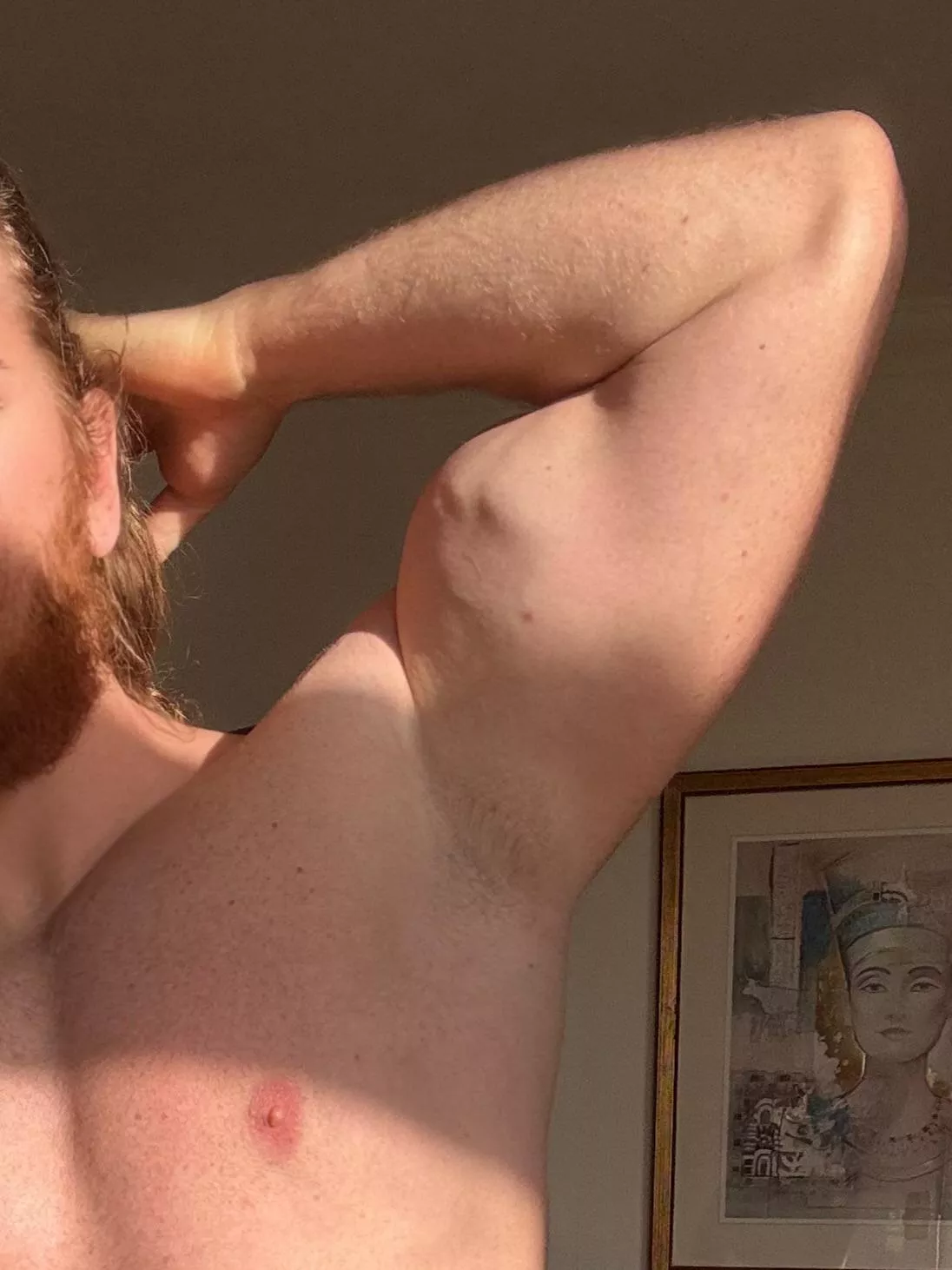 Inhale the scent of a Nordic God! posted by Bearded_alpha1