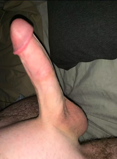 Is this something you could work with? by Intelligent-Body1998