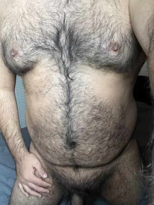 New bear from MX. by juanjota