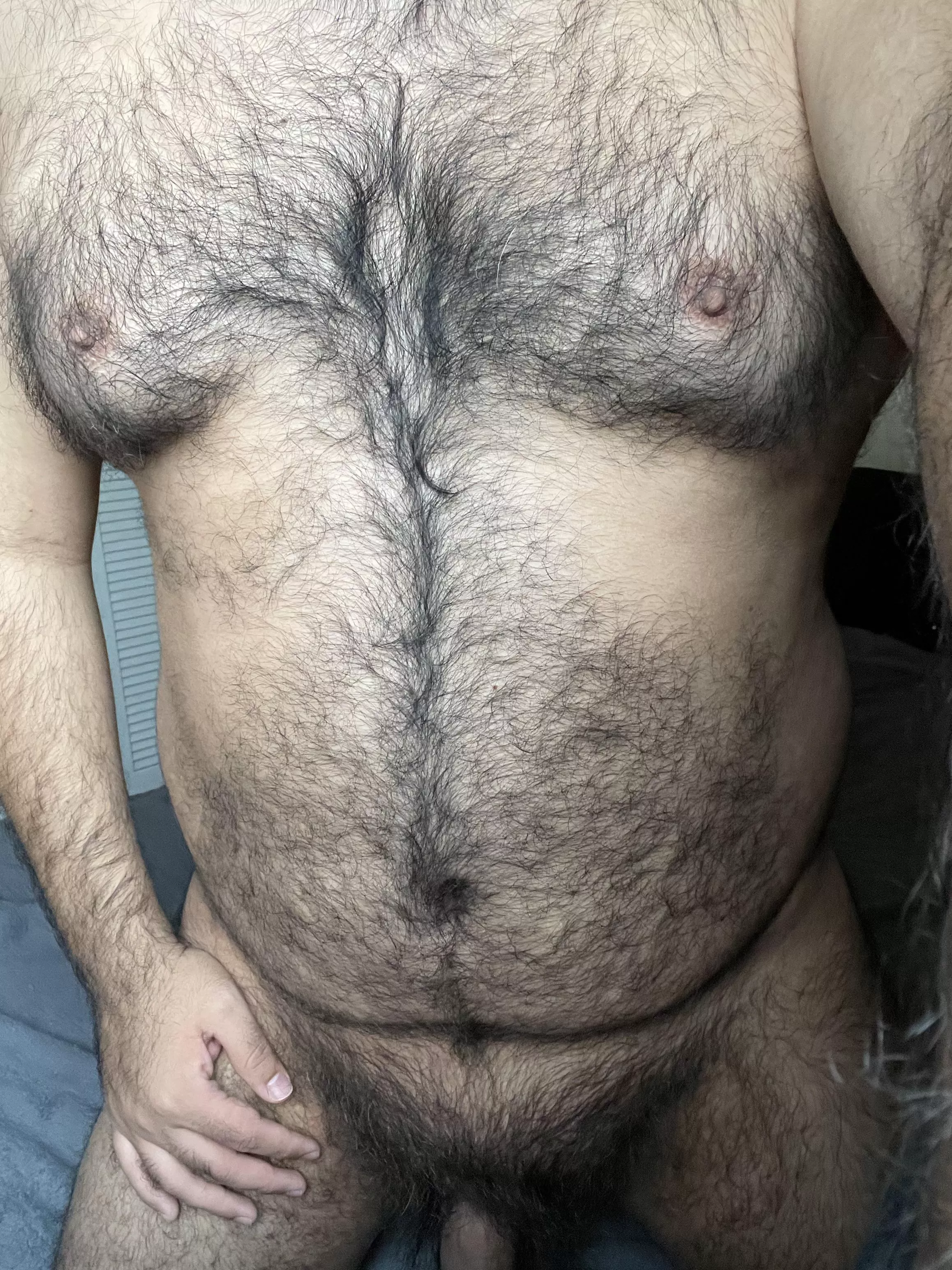 New bear from MX. posted by juanjota