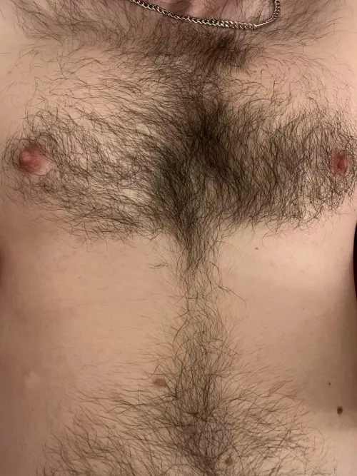 Open for petting  by Red-Bat1