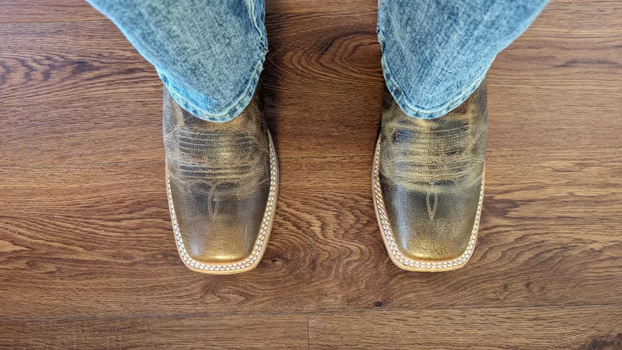 Proper care suggestions by nswilhelm