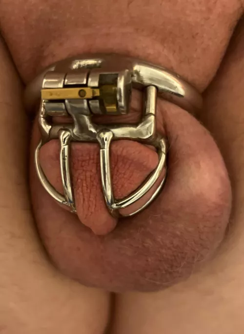 Should i go to a flat cage?? by chastityslave206