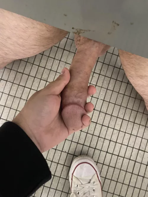 Sucked and rode this big cock on campus by rainbowswiftie13