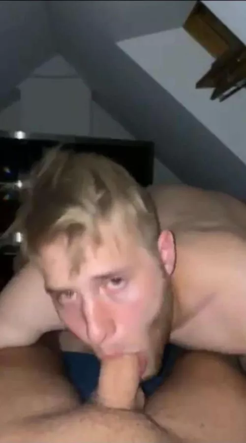 Take a look at this cute little cocksucker. by gay739