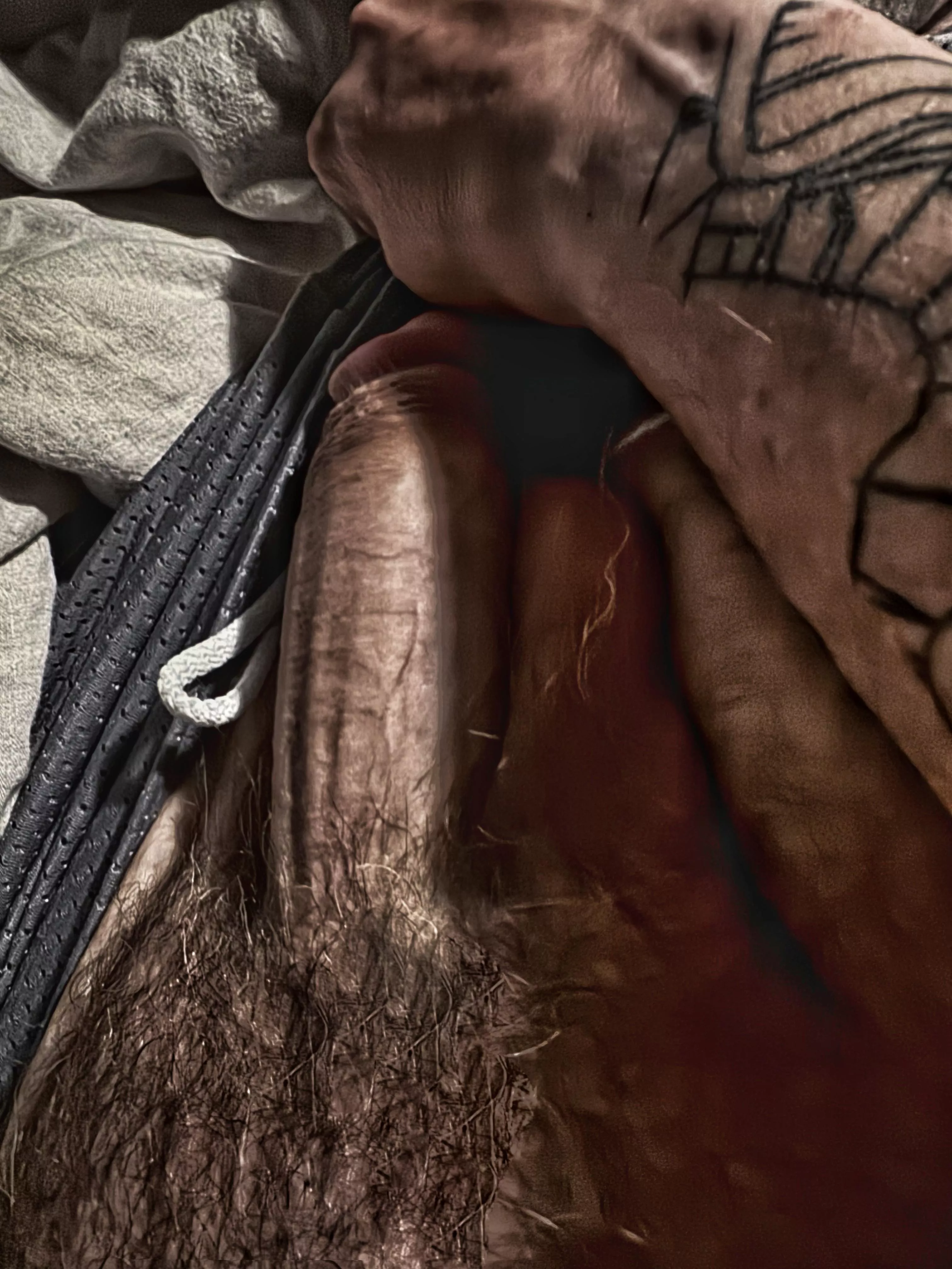 Trimmed but respectable bush posted by DisastrousLock1136