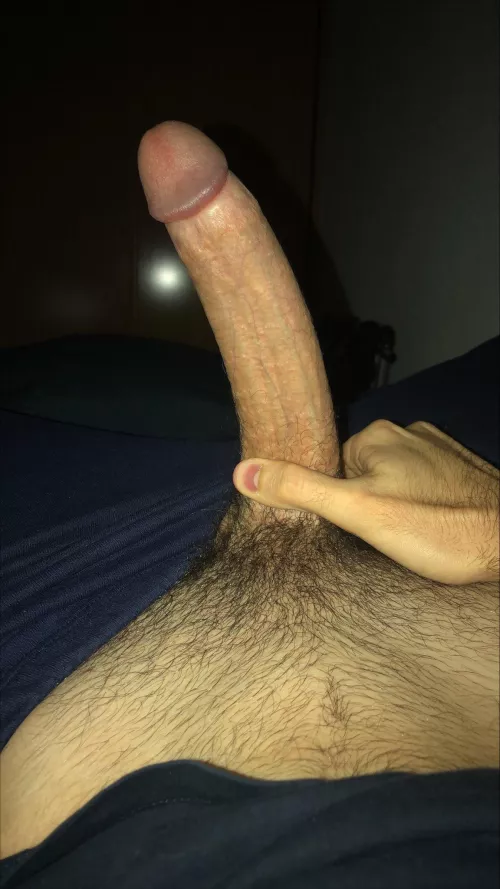 8.3 inches bwc by bwcEuro