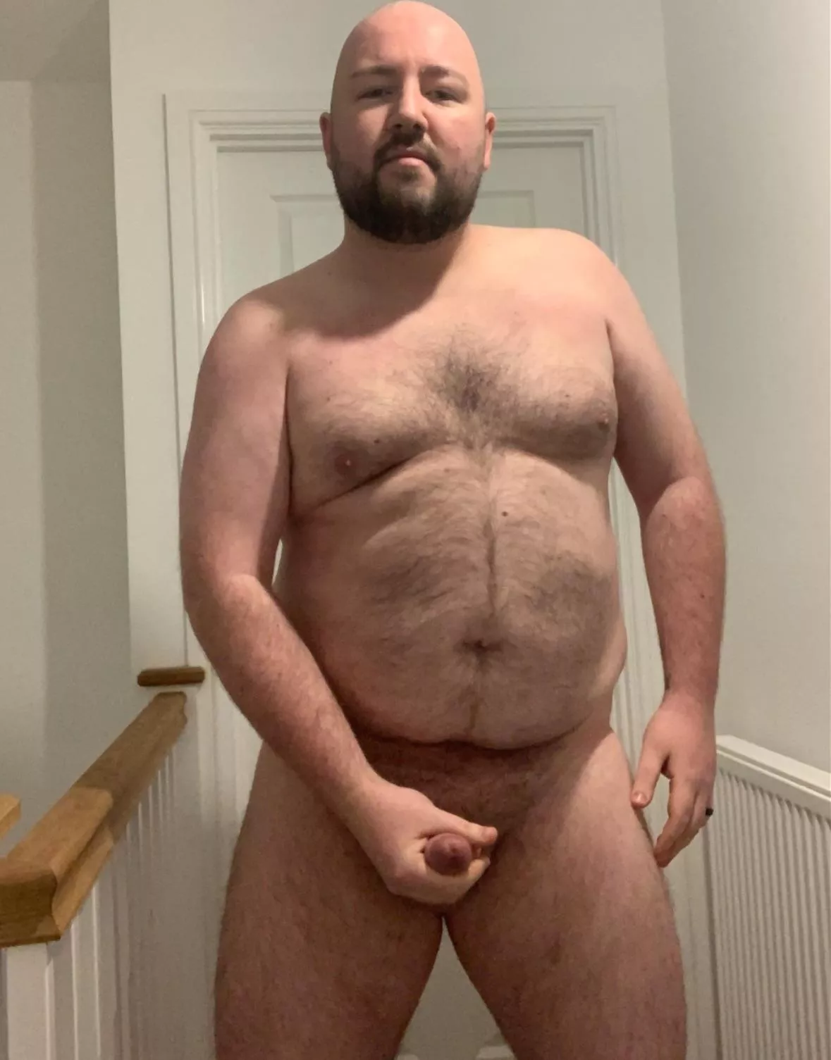 Am I a bear? (34) posted by b42ad