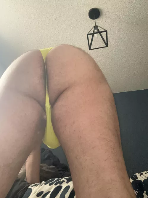 CK women’s thongs by dudemx85