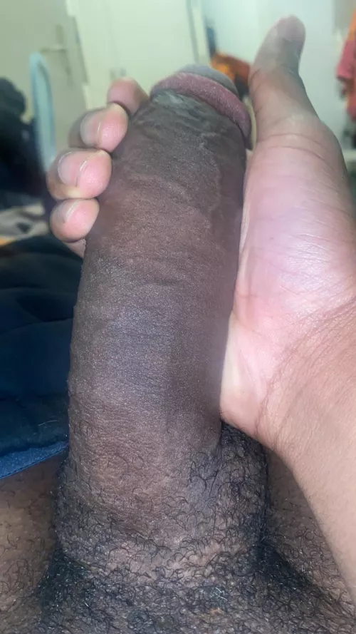 Dm if you Like by CommentBrilliant755