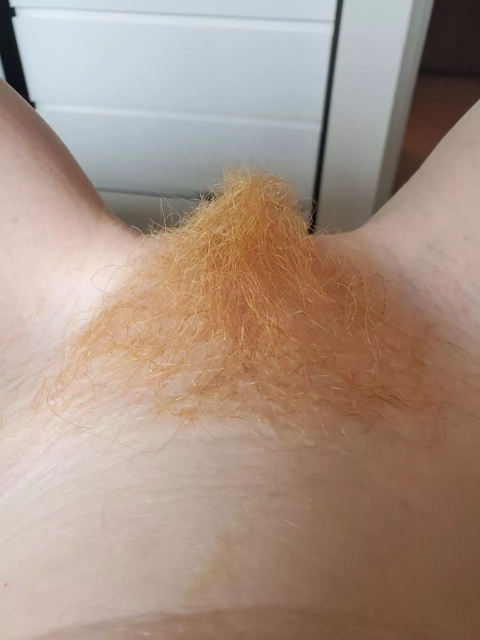Do you want my ginger pussy  posted by caelyx_model
