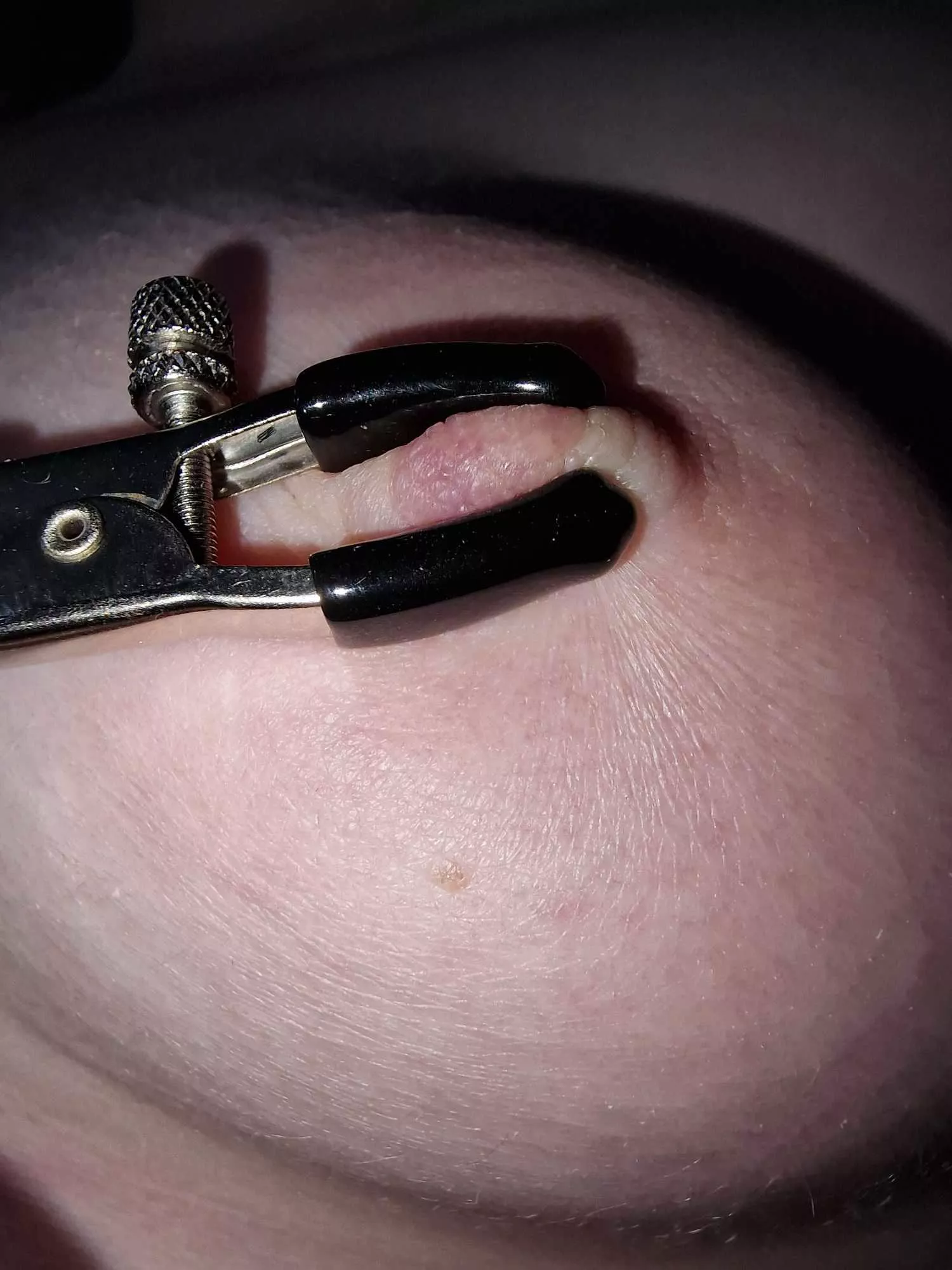 Do you want to play? posted by DarcyRose67