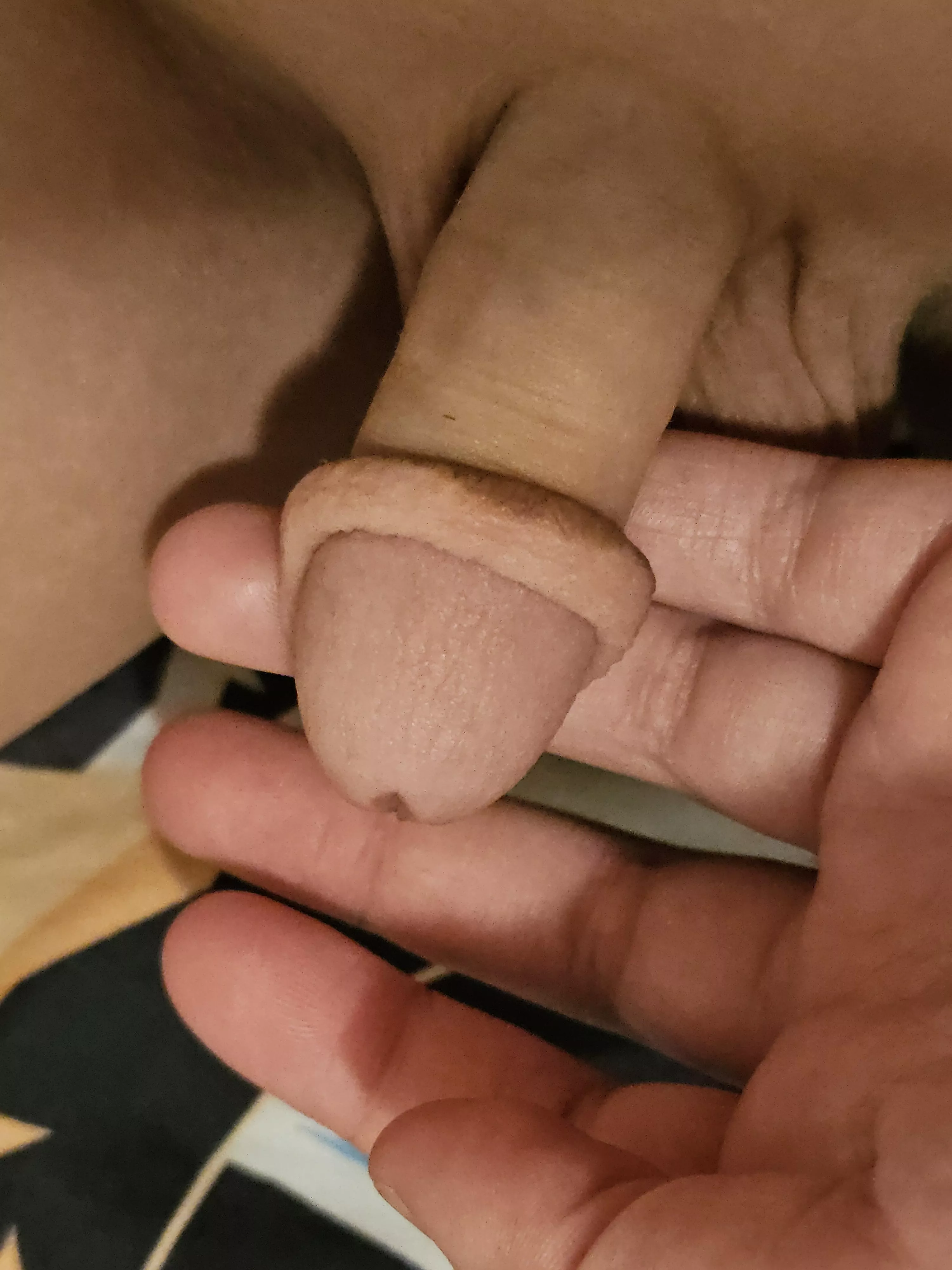 Don't you like my little chode? posted by MrFreezeReverseBlast