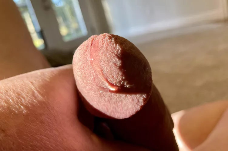 Drip drip. by Necessary_Spite_2490