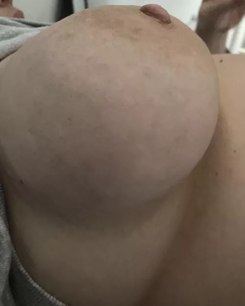 Feeling full this morning  by mlz69