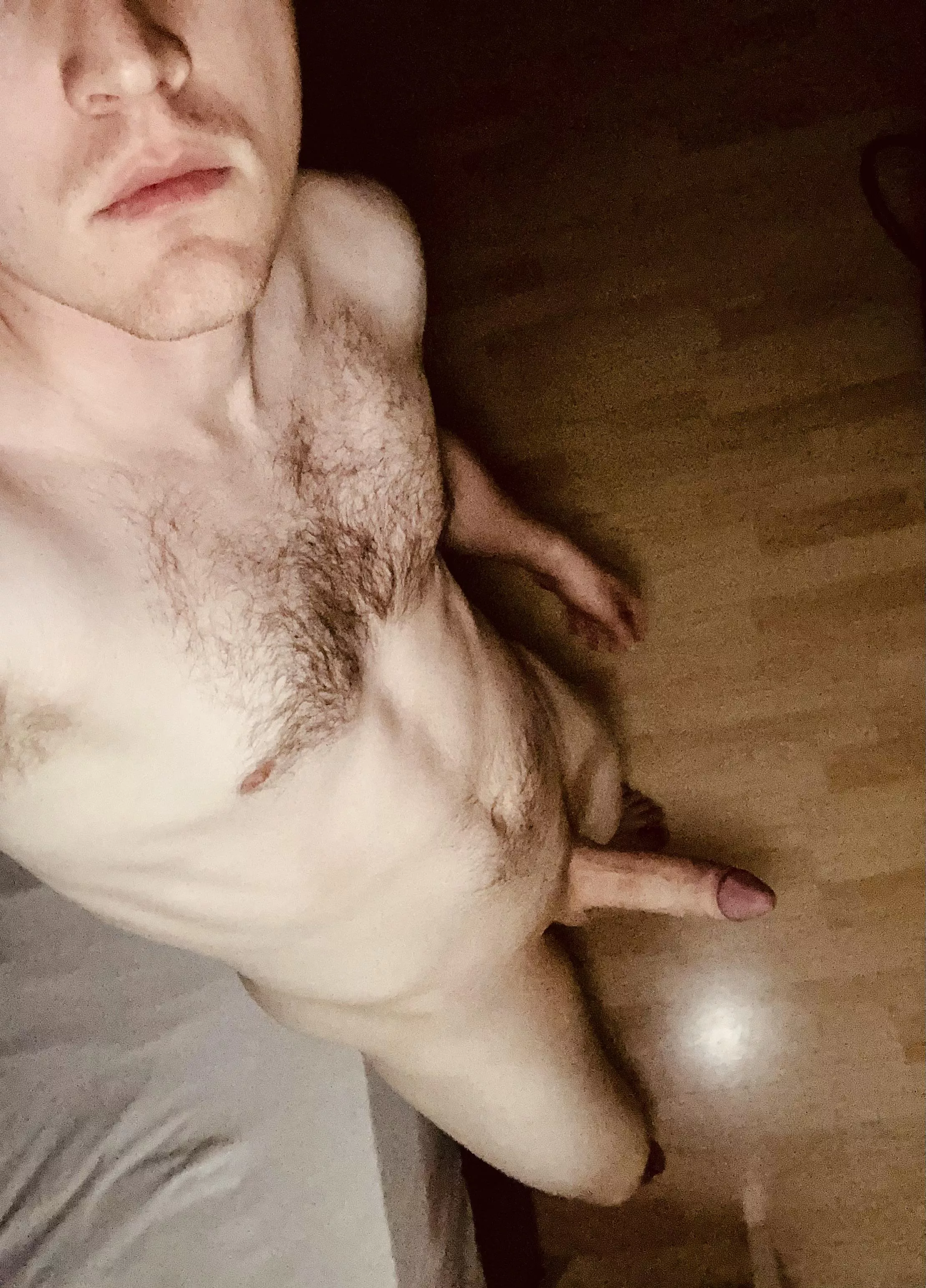 Good night 💤 posted by cockant