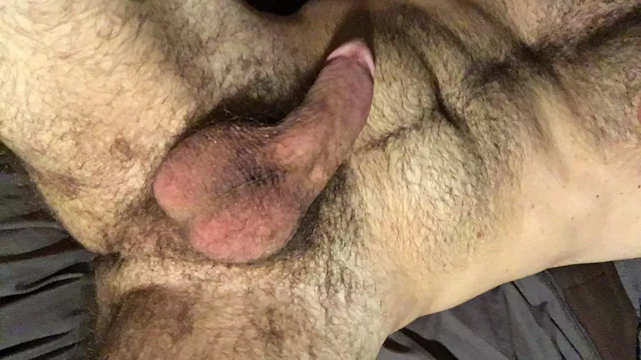 Hairy ass… and then some posted by xxnenxx