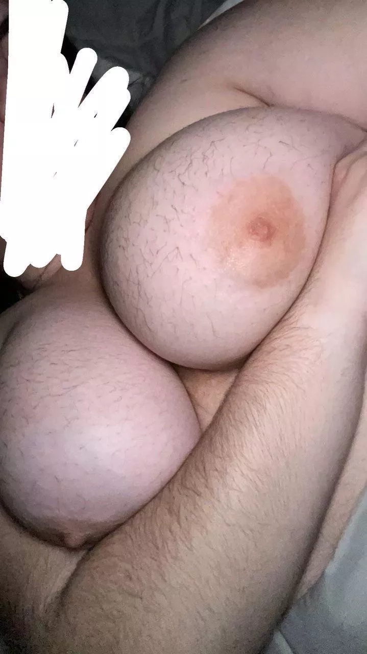 Hairy boobs posted by beefykock