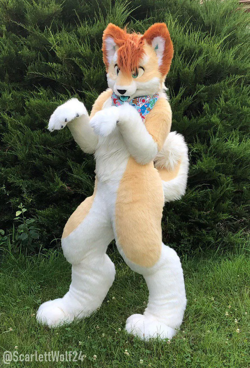 Happy Fursuit Friday!! 🐾🐾 posted by scarlettwolf24